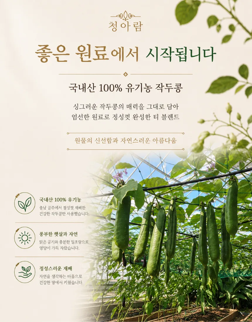 https://cdn.cashreview.kr/production/campaign/detail-content/0d95446a-0baf-427b-8dab-87c1beb0b6a6.png