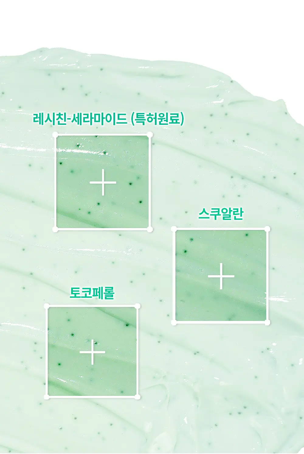 https://cdn.cashreview.kr/production/campaign/detail-content/14bcecca-5d84-4c2c-af16-a8c5c120a29c.png