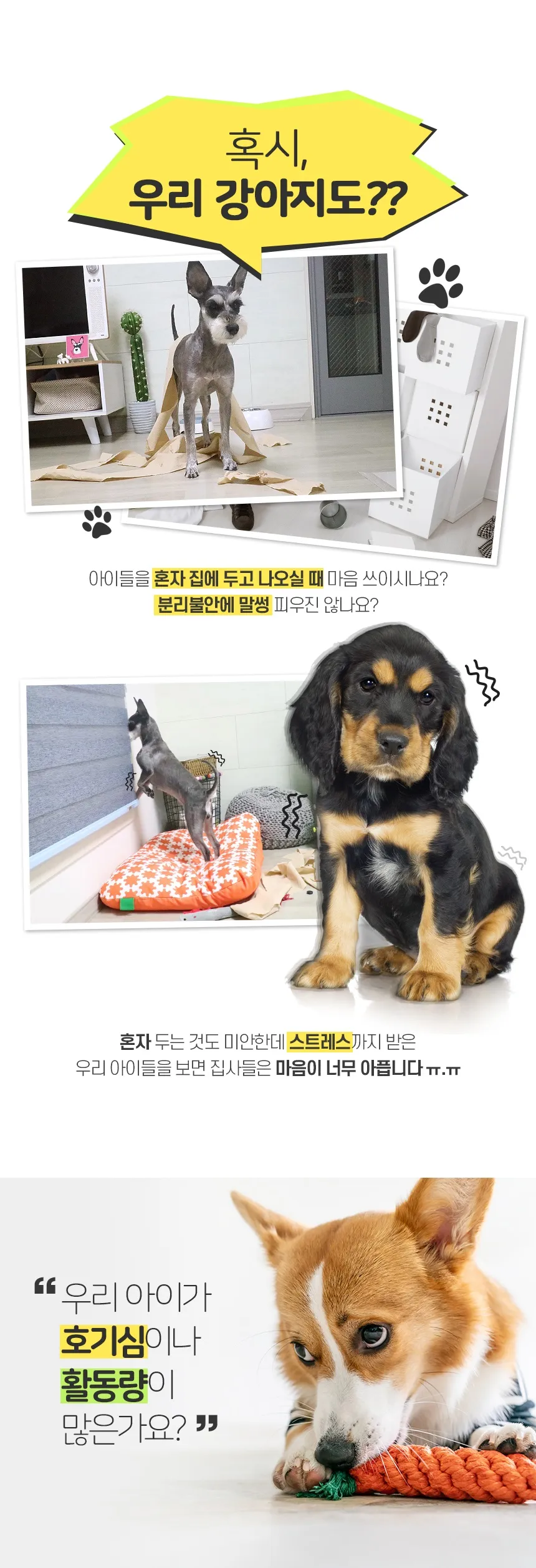 https://cdn.cashreview.kr/production/campaign/detail-content/17152db8-39bf-49ff-a31a-a8b63684c8b3.png
