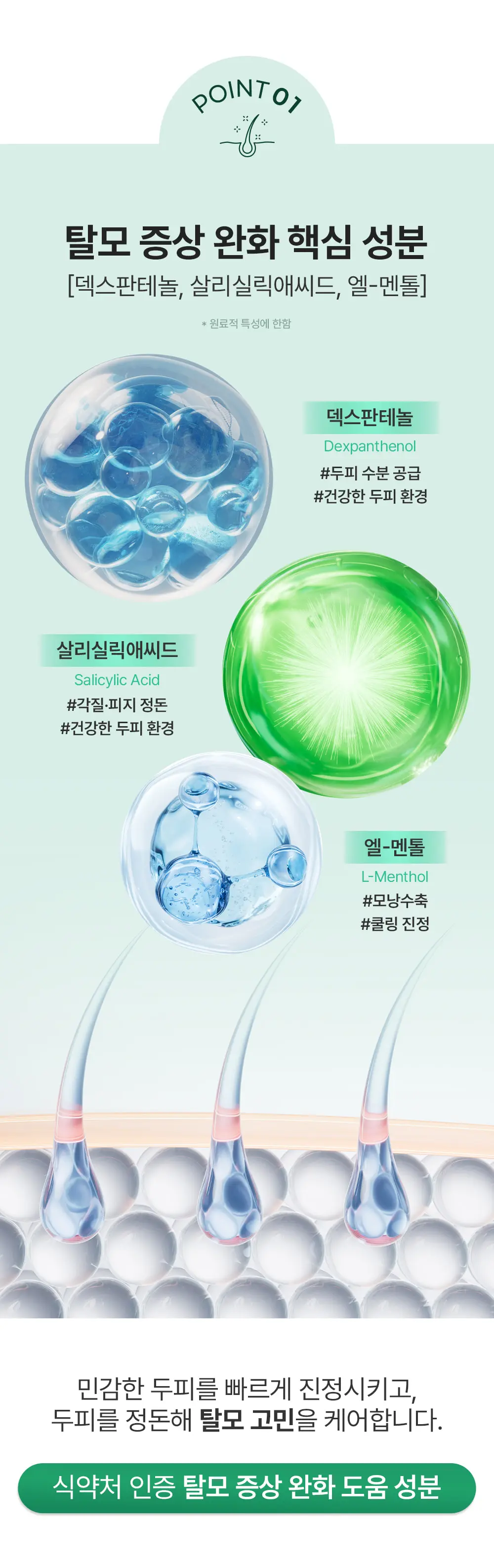 https://cdn.cashreview.kr/production/campaign/detail-content/3a58fbc8-cd9a-4e8f-87b1-430c1d43caa6.png