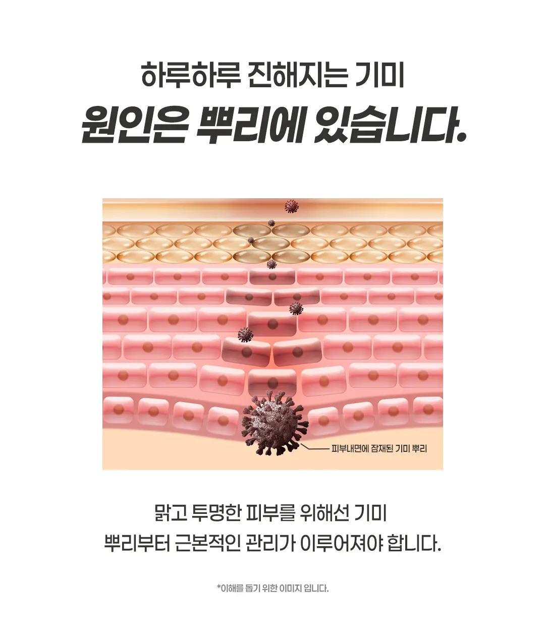 https://cdn.cashreview.kr/production/campaign/detail-content/44d99b93-78d6-4fb7-bebd-4d65a64fcc24.png