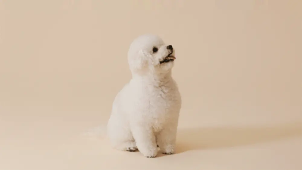 https://cdn.cashreview.kr/production/campaign/detail-content/71e0e1c4-59db-4834-b1b6-6e6762c7af10.png