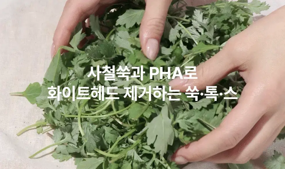 https://cdn.cashreview.kr/production/campaign/detail-content/954c43aa-7ee0-43d4-a295-8c760268786f.png