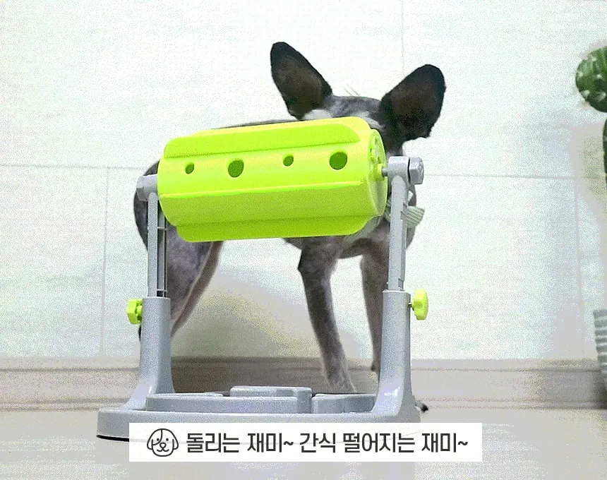 https://cdn.cashreview.kr/production/campaign/detail-content/9550e32a-af60-40be-a44e-6c78646f4144.png