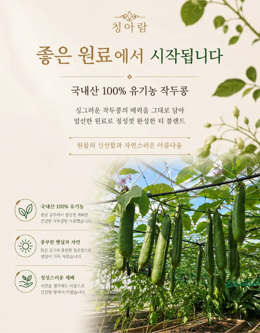 https://cdn.cashreview.kr/production/campaign/detail-content/9565c939-3e33-472e-8fc2-c10cf293ef83.png