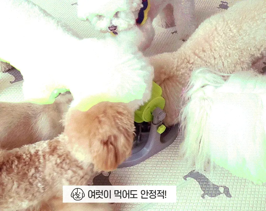 https://cdn.cashreview.kr/production/campaign/detail-content/a7c5af82-f7c4-4792-ad9a-551574379926.png