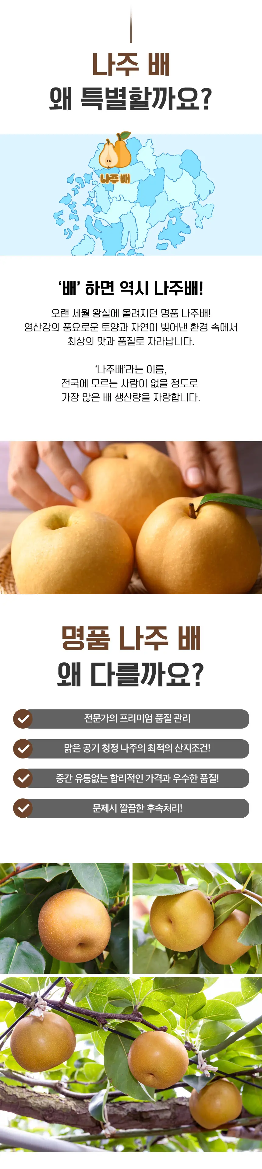 https://cdn.cashreview.kr/production/campaign/detail-content/ddc96634-5491-4cf5-bb2c-965c5288baff.png
