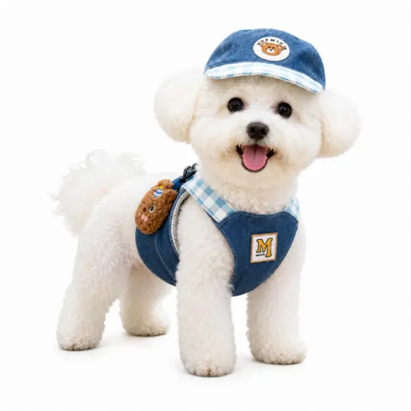 https://cdn.cashreview.kr/production/campaign/square-thumbnail/bd073c00-284e-4e66-bbb6-6f3dbe5ba06b.png
