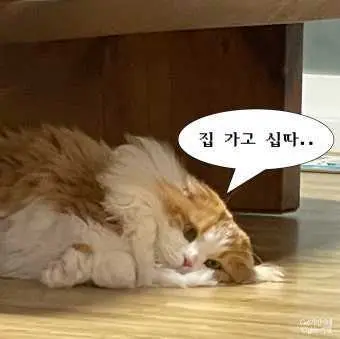https://cdn.cashreview.kr/test/campaign/detail-content/b21d0dbb-4339-4901-a194-de5cdf90ba03.png