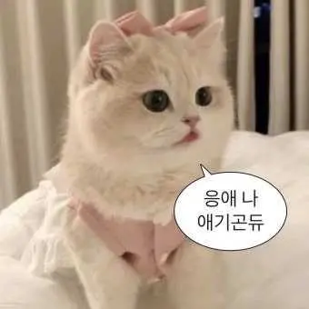 https://cdn.cashreview.kr/test/campaign/detail-content/e7cf80f9-f2cb-44e0-9acf-e6ebd6976f95.png